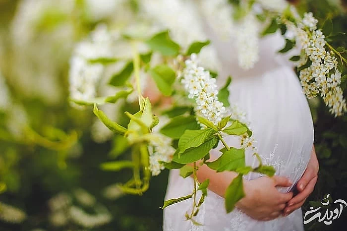 نحوه تشخیص وزن جنین